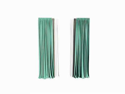Green Fringe Curtains for Modern Home Decor Long Hanging Design with Soft Texture 3d model