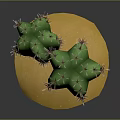 Two Green Spiky Cactus Plants Growing On Yellow Sandy Base With Gray Background 3d model