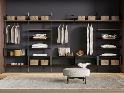 Modern Walk in Closet Design with Hanging Clothes Folded Clothes Storage Boxes and Stool 3d model