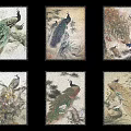 Peacock Animal Paintings with Natural Scenery Branches and Flowers Decorative Framed Wall Art Collection