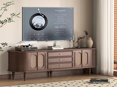 Modern Wooden TV Stand With Brown Finish Drawers Rattan Doors TV Record Player And Vase 3d model