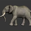 Realistic Elephant Model With Large Ivory Tusks And Textured Skin Standing On Shiny Black Background