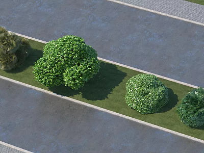 Green Shrubs Of Various Sizes Planted Along Roadside Grass Verge 3d model