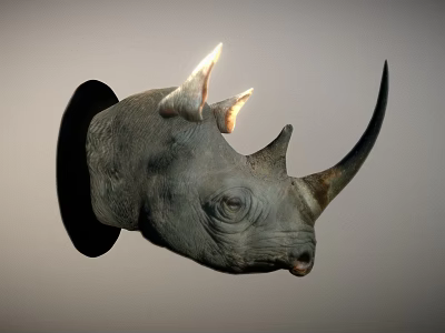 Gray Rhinoceros Head Wall Mounted Decorative Sculpture for Home Interior 3d model