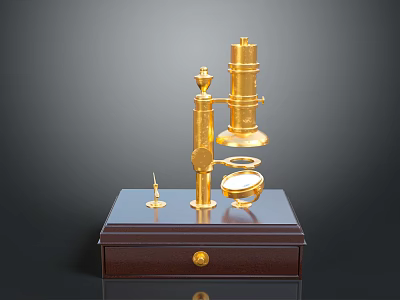 Golden Microscope Model On Brown Base With Drawer And Small Tool 3d model