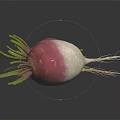 Fresh Red And White Radishes With Green Leaves On Black Reflective Surface