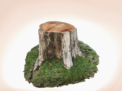 Decorative Ornament Set With Tree Stump Base And Green Moss Natural Rustic Home Decoration 3d model