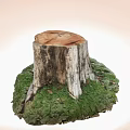 Decorative Ornament Set With Tree Stump Base And Green Moss Natural Rustic Home Decoration