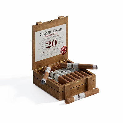 Modern Cigar Cigar Box Cigar 3d model