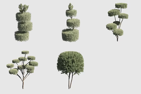 Fork Cedar Hedge 3d model