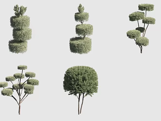 Fork Cedar Hedge 3d model