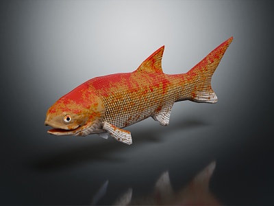 Modern Fish Carp 3d model