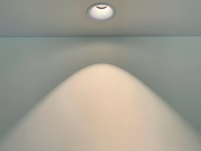 Ceiling Mounted Downlight Spotlight With Soft Light Projection On Indoor Wall 3d model