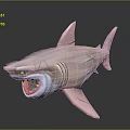 Pink Shark 3D Model With Open Mouth And Realistic Details