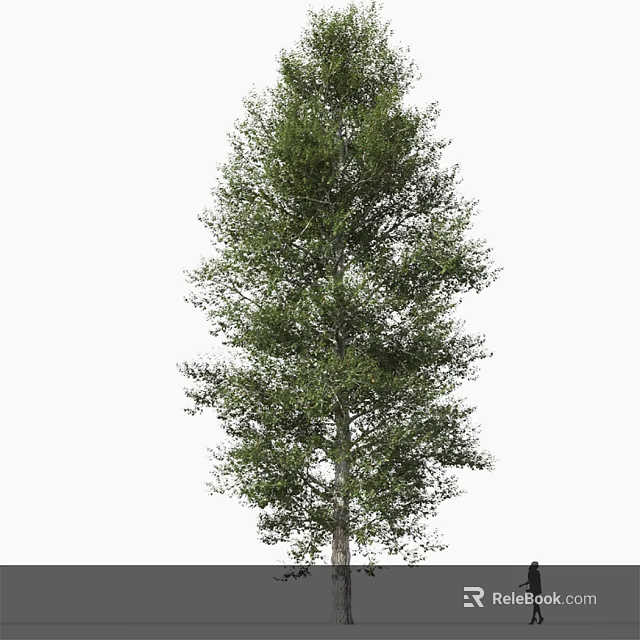 Tall Arbor With Lush Green Foliage And Sturdy Trunk Structure 3d model