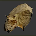 Light Colored Nautilus Shell With Intricate Spiral Texture And Smooth Surface