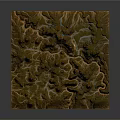 Detailed Topographic Landscape Model With Rugged Mountain Peaks And Natural Texture