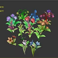Vibrant Flower Plants with Multiple Colors Various Shapes and Green Stems Leaves on Dark Background