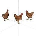 Three Brown Chickens Standing on White Background with Realistic Details 3d model
