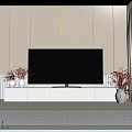 TV background wall TV TV cabinet Vase Dried flower arrangement 3d model