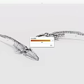 Two Intricate Fish Skeleton Models Showcasing Anatomical Structure on White Background