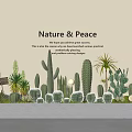 Diverse Bonsai and Potted Plants Collection With Cacti Succulents Nature and Peace Theme