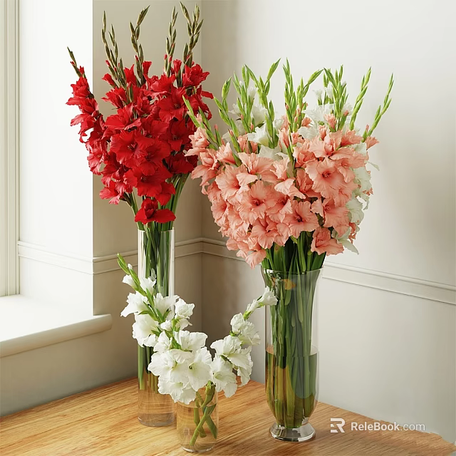Decorative Ornament Set with Red Pink White Gladiolus in Clear Glass Vases on Window Table 3d model 