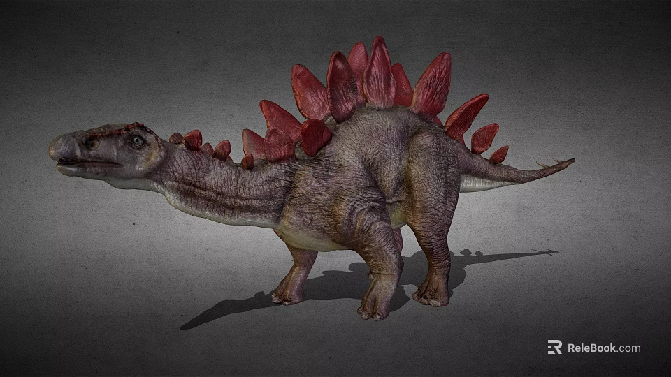 Realistic Dinosaur Model With Red Spines And Gray Body On Gray Background 3d model 