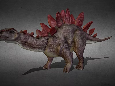Realistic Dinosaur Model With Red Spines And Gray Body On Gray Background 3d model