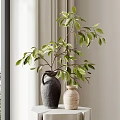 Black And Beige Vases With Green Leaves On White Table By Window Curtains