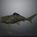 Large Greenish Brown Fish Model With Red Eyes And Textured Skin On Dark Background