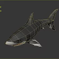 Realistic 3D Shark Model With Gray Body White Underbelly And Fins On Dark Gray Background