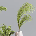 White Conical Striped Vases with Various Green Natural Plants and Fresh Foliage