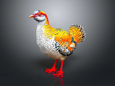 Colorful Bird With Red Yellow Head White Spotted Body Red Legs And Vibrant Tail Feathers 3d model