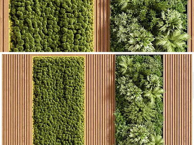 Green Living Plant Wall Design With Moss And Various Plants For Interior Decoration 3d model