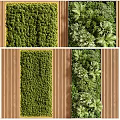 Green Living Plant Wall Design With Moss And Various Plants For Interior Decoration