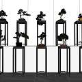 Modern Black Metal Flower Stands With Various Potted Plants In Indoor Row Arrangement