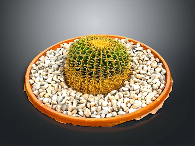 Small Green Round Cactus Plant in Orange Plate with White Pebbles 3d model