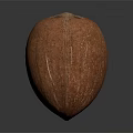 Brown Coconut with Textured Surface on Dark Background Showing Reflection 3d model