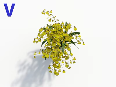 Bright Yellow Orchid Flower Arrangement With Green Leaves On White Background 3d model
