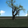 Tall Arbor With Vine Covered Trunk In Green Lawn Under Blue Sky And White Clouds