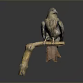 Eagle Perched On Natural Wooden Branch With Brown Feathers And Sharp Claws 3d model