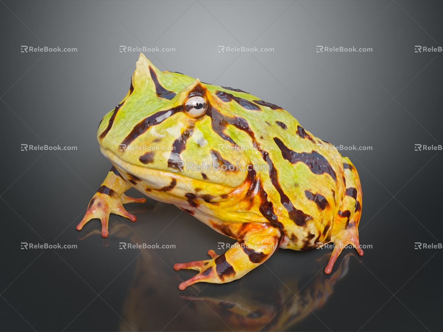 Frog Frog Frog Poison Frog Game Frog Reptile Cold Blooded Animal Reptile Reptile 3d model