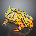 Frog Poison Frog Game Frog Reptile Cold Blooded Animal Reptile 3d model