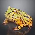 Frog Frog Frog Poison Frog Game Frog Reptile Cold Blooded Animal Reptile Reptile 3d model