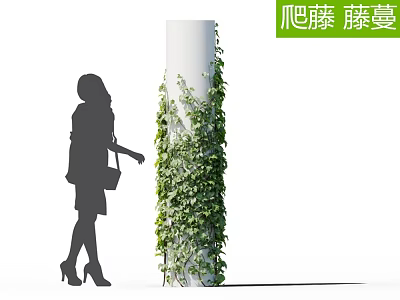 Climbing Vines Growing On White Pillar With Lush Green Leaves 3d model