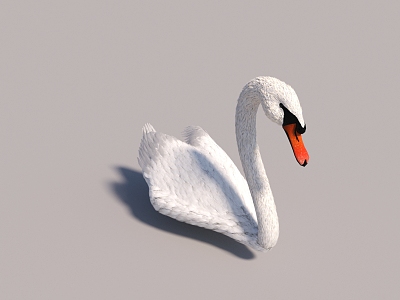 modern white swan 3d model