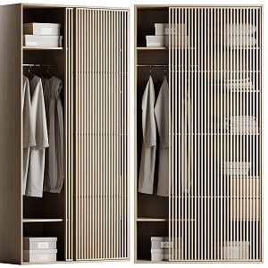 Modern wardrobe 3d model