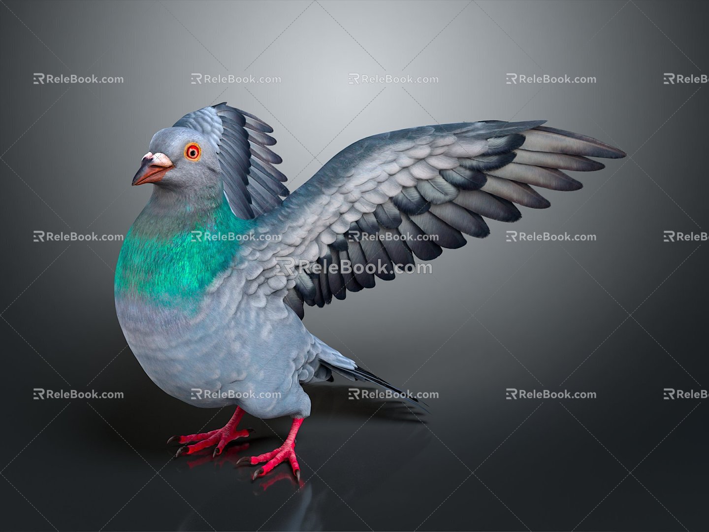 Modern carrier pigeon food pigeon play pigeon racing pigeon racing 3d model