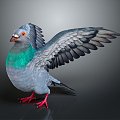 Modern carrier pigeon food pigeon play pigeon racing pigeon racing 3d model